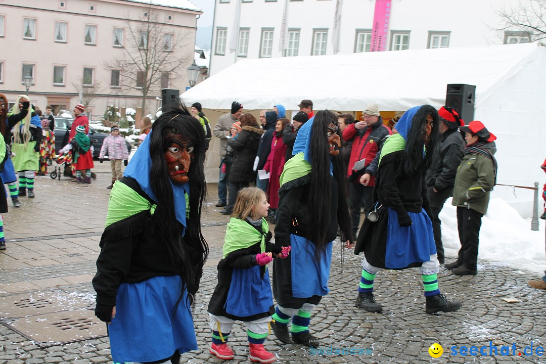 Fasnets-Umzug 2013: Hechingen, 12.02.2013