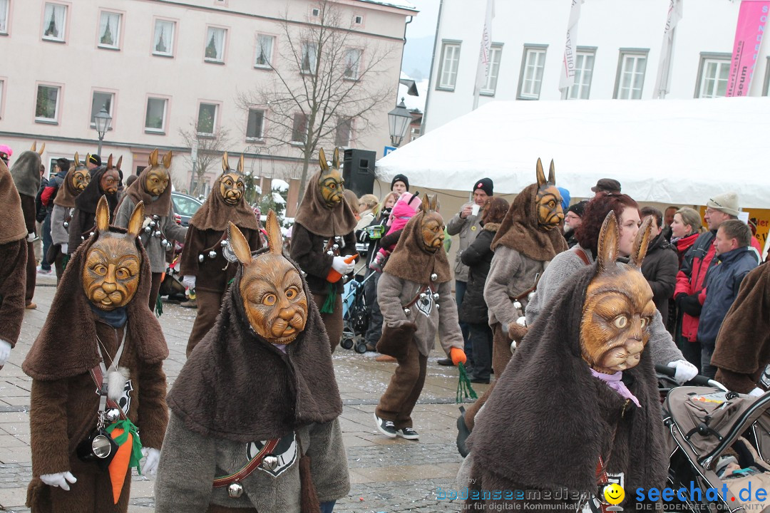 Fasnets-Umzug 2013: Hechingen, 12.02.2013