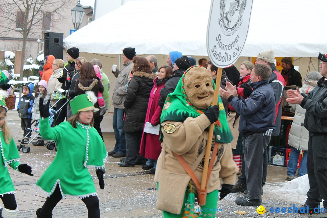 Fasnets-Umzug 2013: Hechingen, 12.02.2013