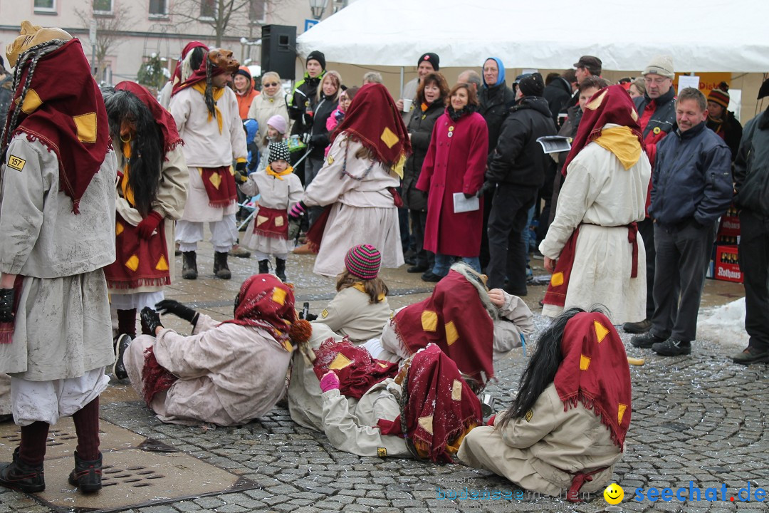 Fasnets-Umzug 2013: Hechingen, 12.02.2013