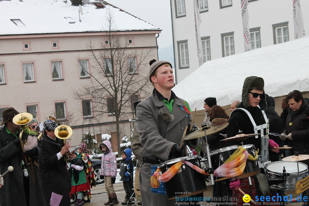 Fasnets-Umzug 2013: Hechingen, 12.02.2013