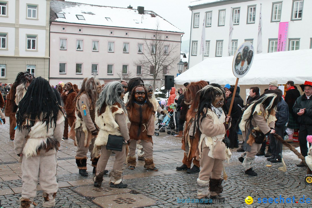 Fasnets-Umzug 2013: Hechingen, 12.02.2013
