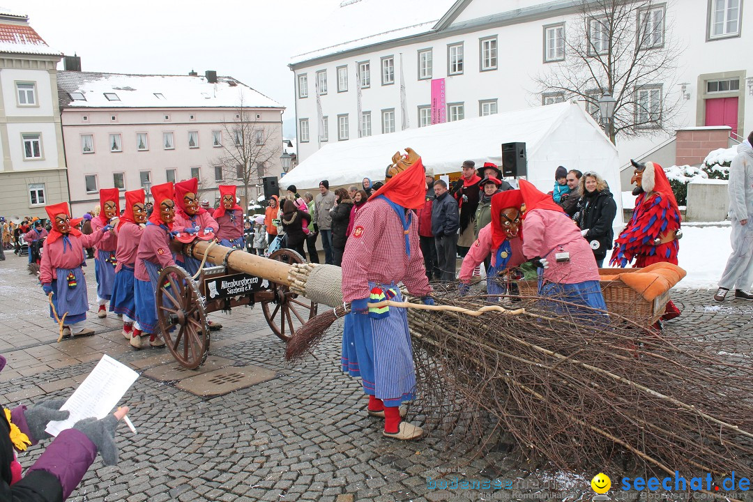 Fasnets-Umzug 2013: Hechingen, 12.02.2013