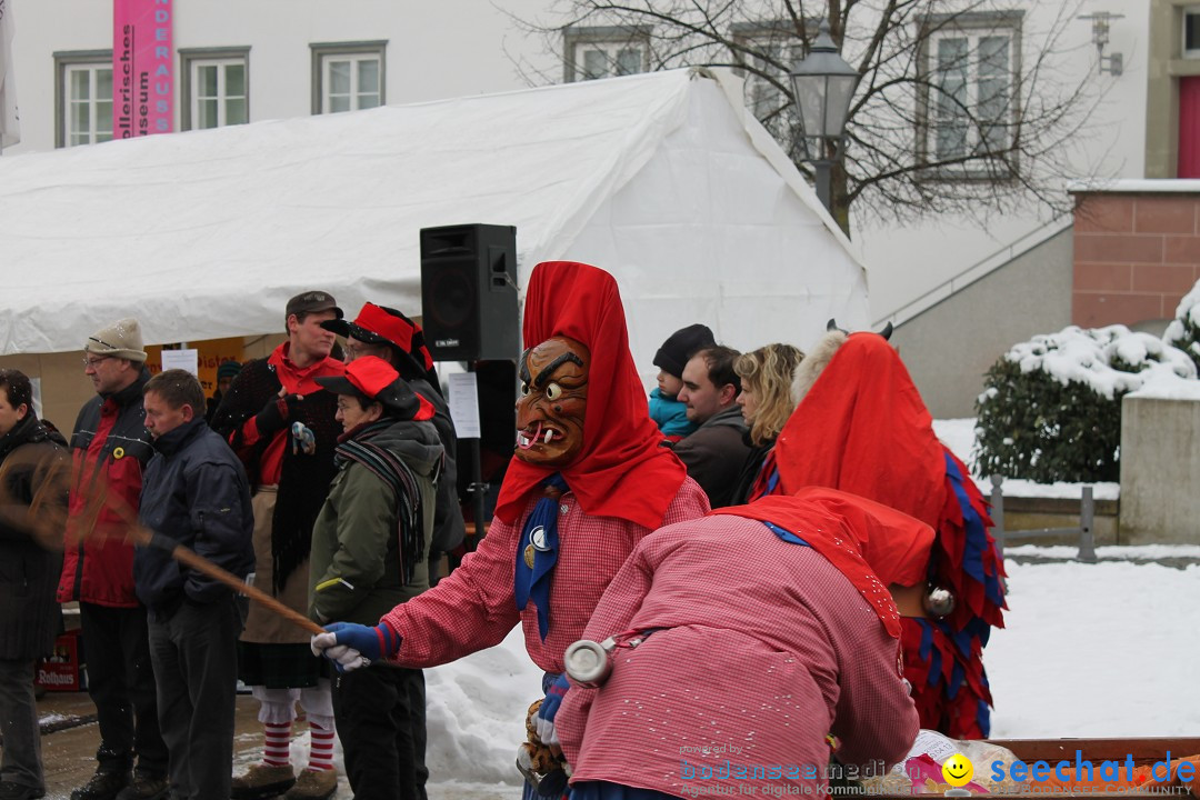 Fasnets-Umzug 2013: Hechingen, 12.02.2013