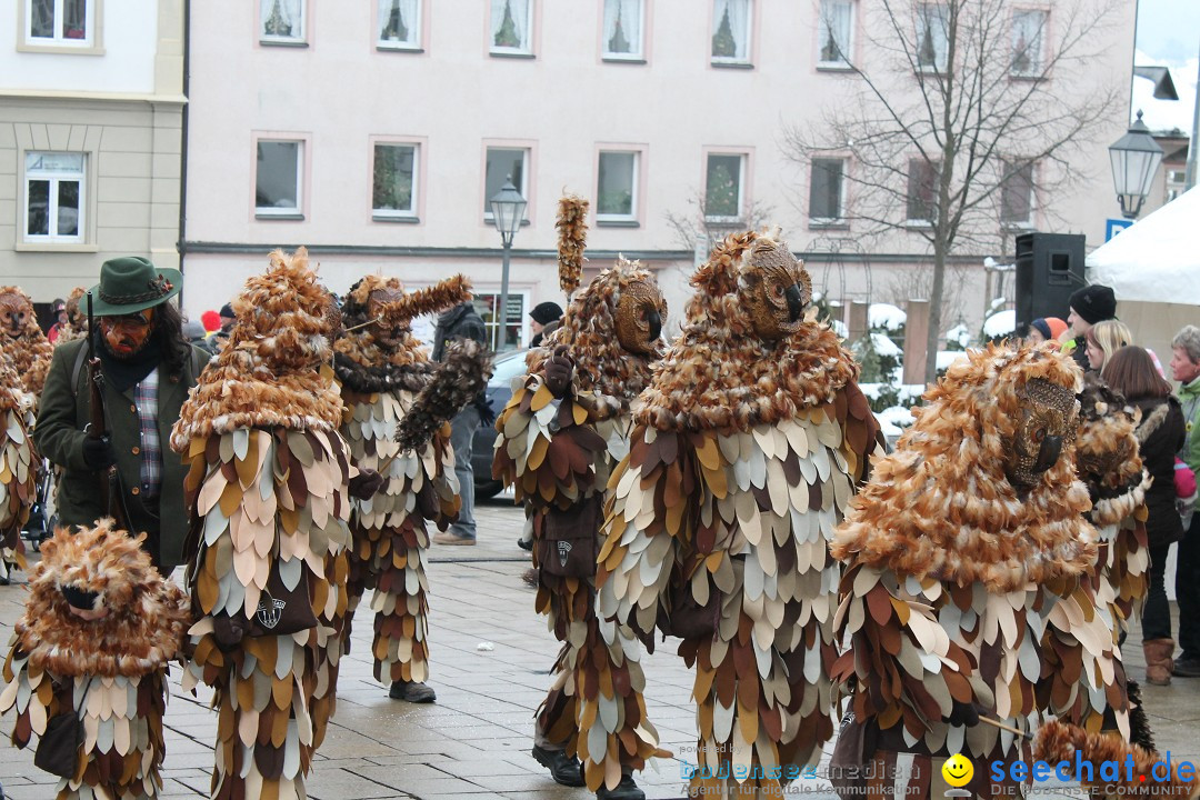 Fasnets-Umzug 2013: Hechingen, 12.02.2013