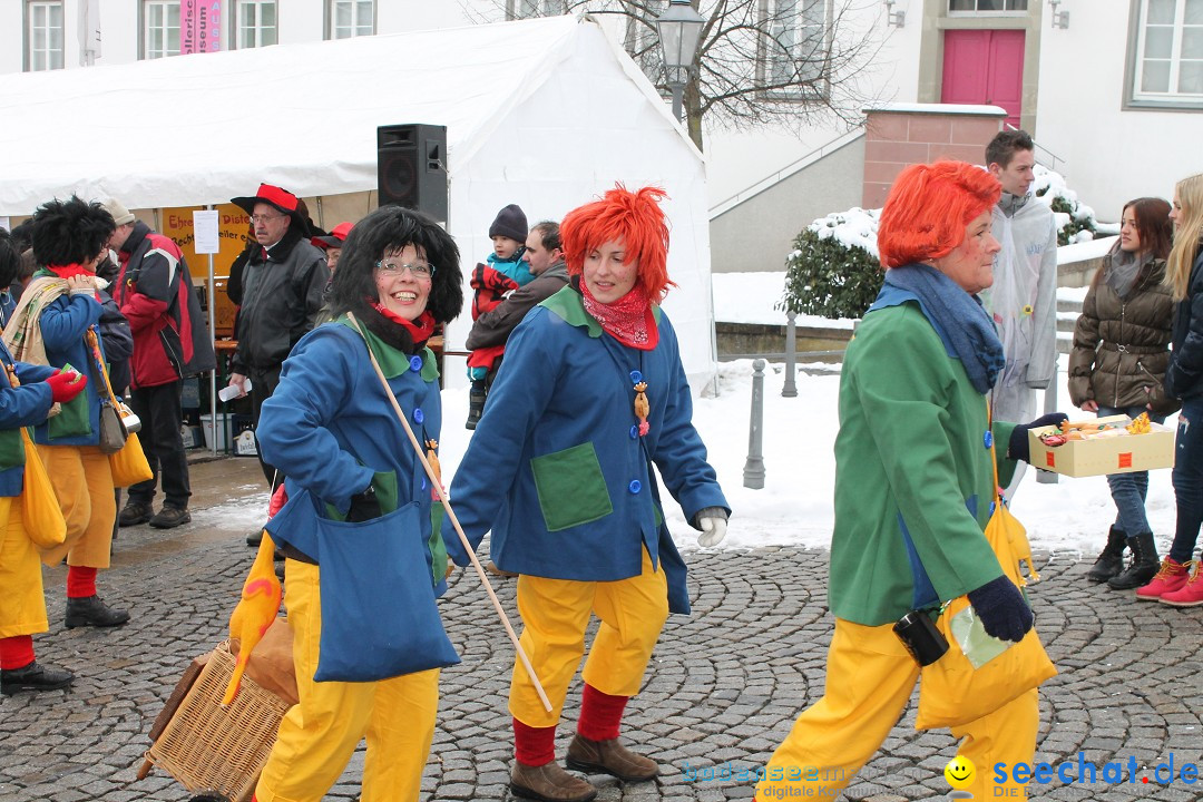 Fasnets-Umzug 2013: Hechingen, 12.02.2013