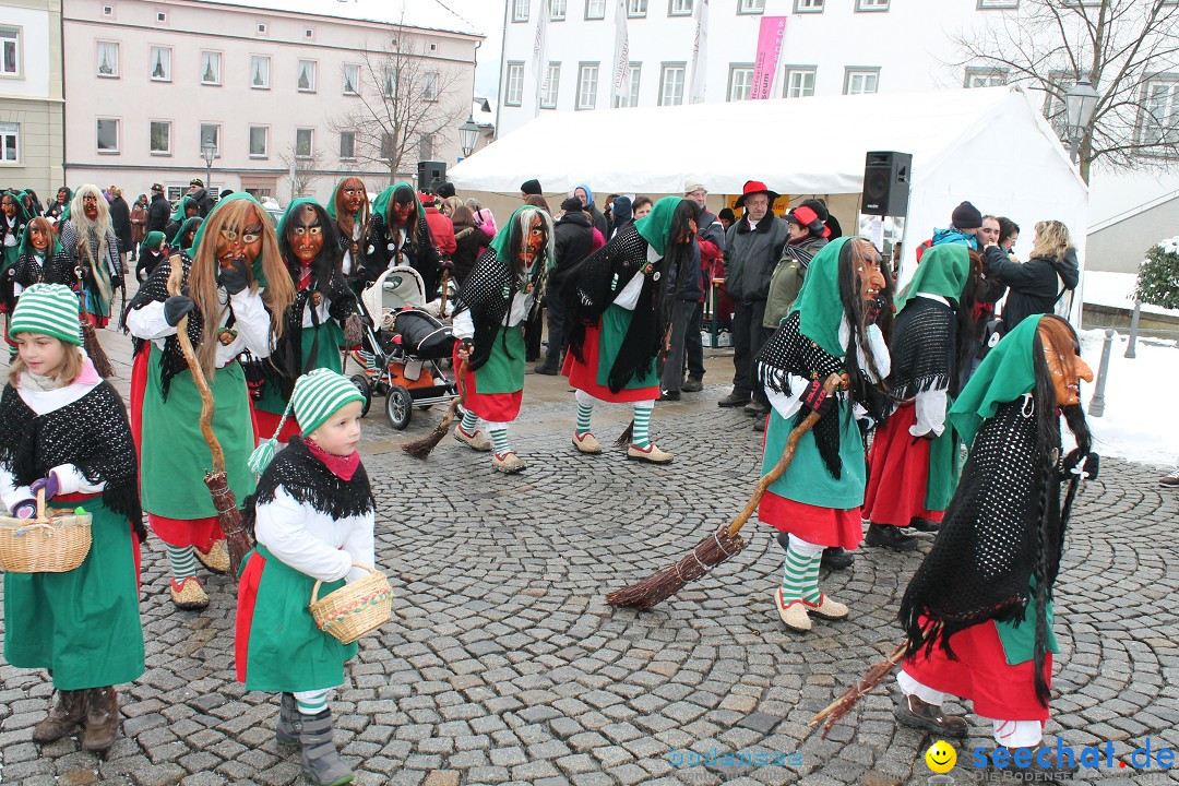 Fasnets-Umzug 2013: Hechingen, 12.02.2013