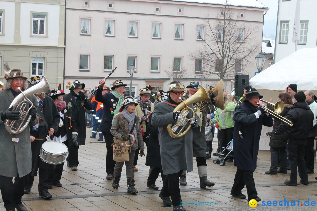 Fasnets-Umzug 2013: Hechingen, 12.02.2013