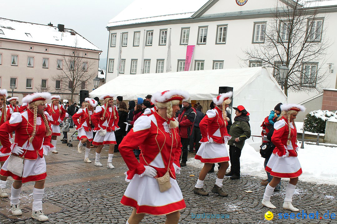 Fasnets-Umzug 2013: Hechingen, 12.02.2013