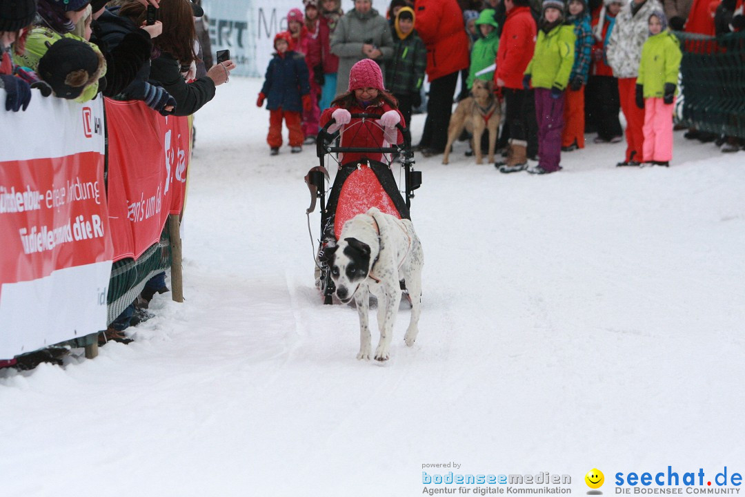 Schlittenhunderennen: Todtmoos im Schwarzwald, 24.02.2013