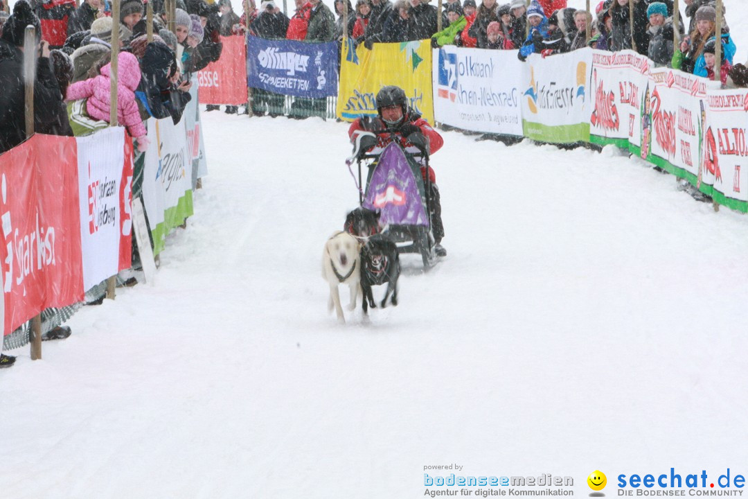 Schlittenhunderennen: Todtmoos im Schwarzwald, 24.02.2013