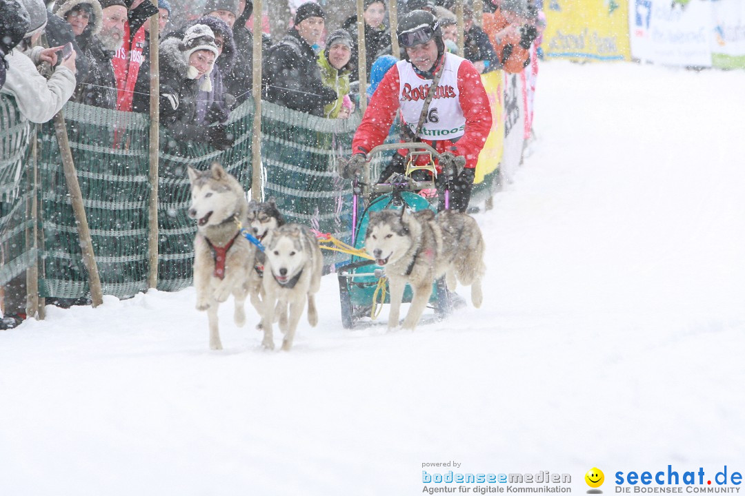 Schlittenhunderennen: Todtmoos im Schwarzwald, 24.02.2013