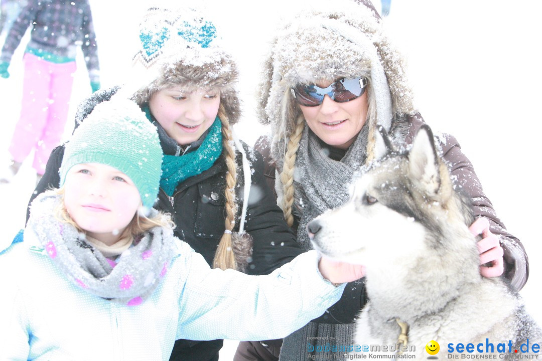 Schlittenhunderennen: Todtmoos im Schwarzwald, 24.02.2013