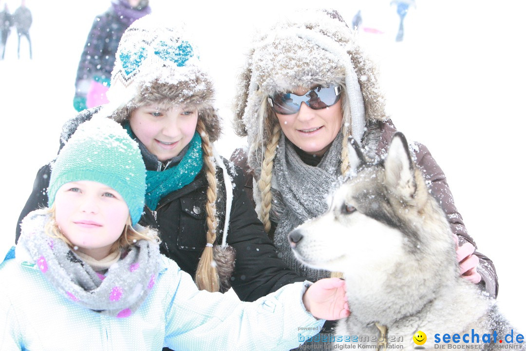 Schlittenhunderennen: Todtmoos im Schwarzwald, 24.02.2013