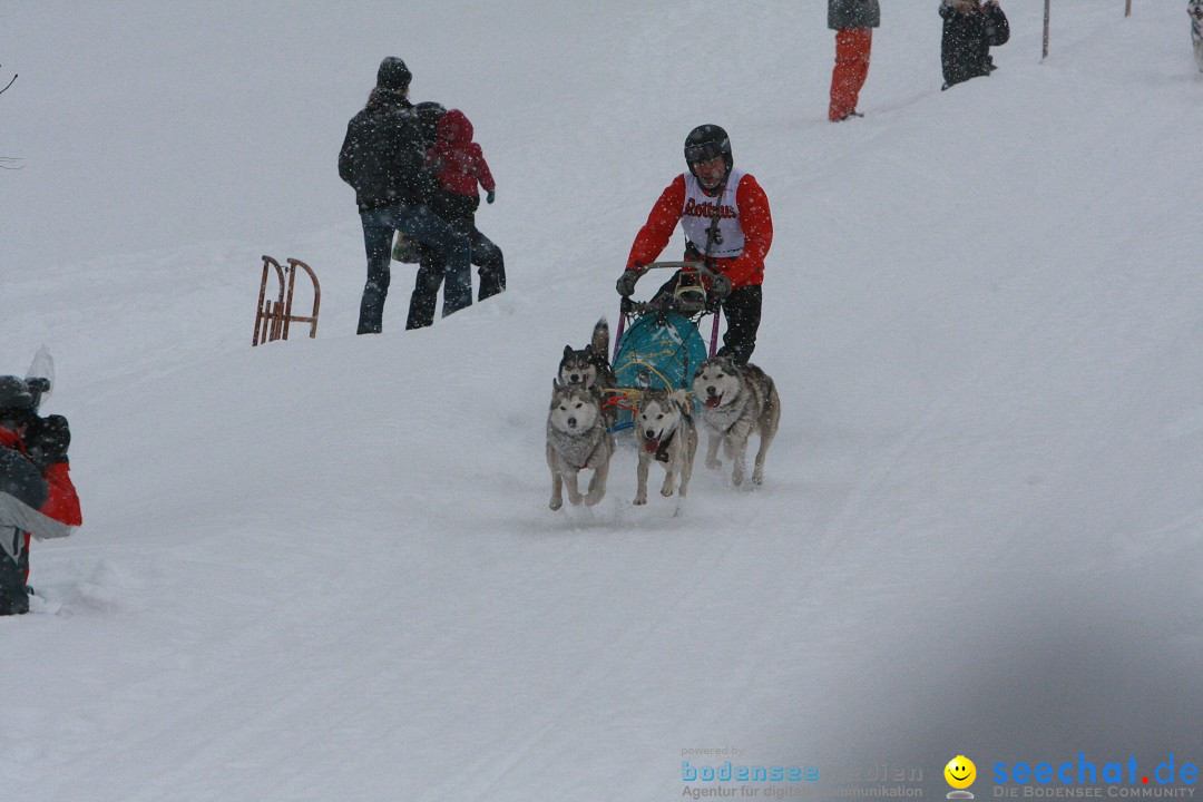 Schlittenhunderennen: Todtmoos im Schwarzwald, 24.02.2013