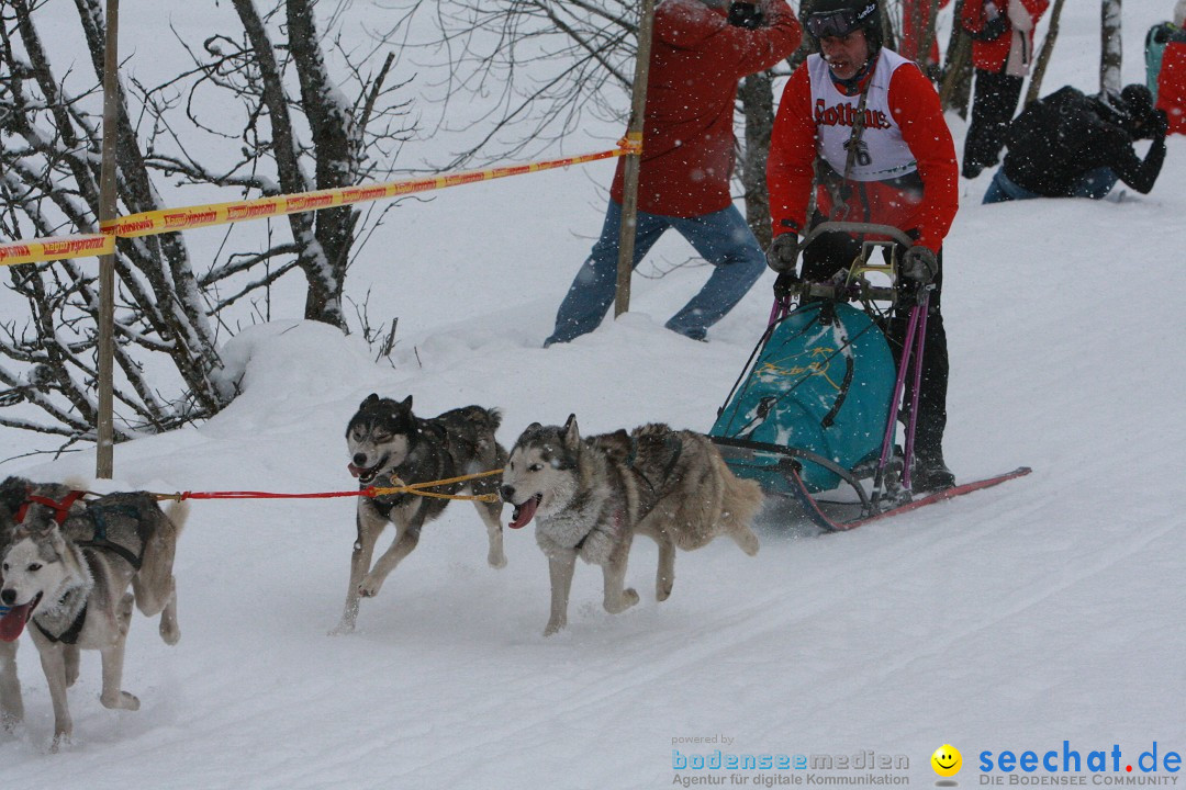 Schlittenhunderennen: Todtmoos im Schwarzwald, 24.02.2013