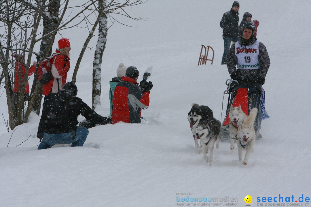Schlittenhunderennen: Todtmoos im Schwarzwald, 24.02.2013