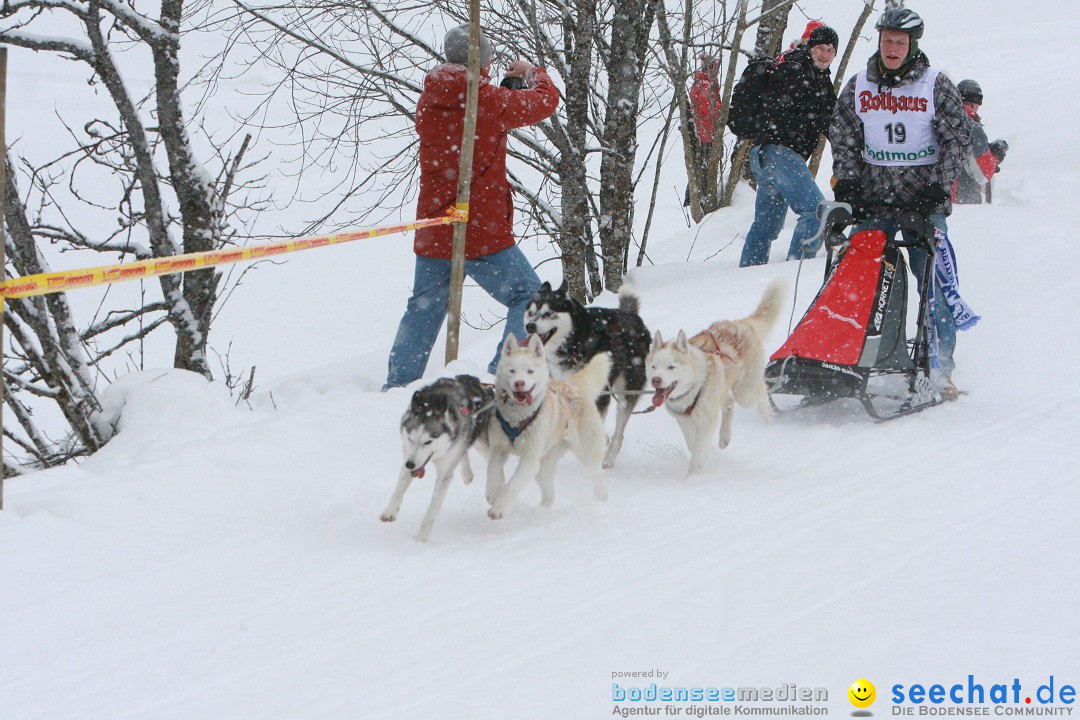 Schlittenhunderennen: Todtmoos im Schwarzwald, 24.02.2013