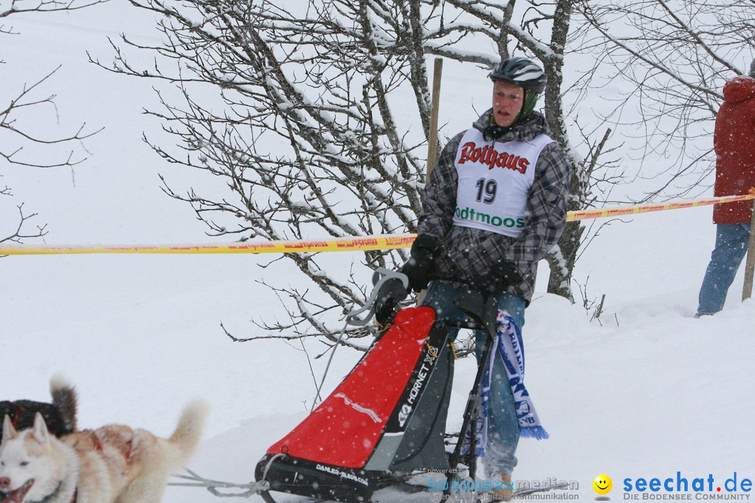 Schlittenhunderennen: Todtmoos im Schwarzwald, 24.02.2013
