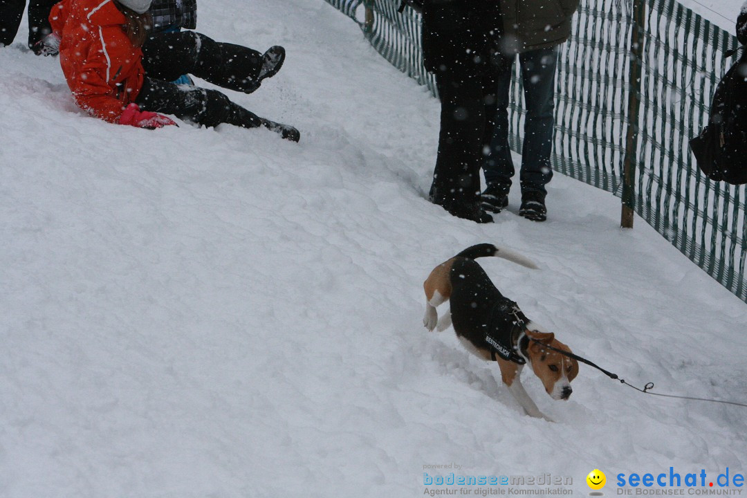 Schlittenhunderennen: Todtmoos im Schwarzwald, 24.02.2013