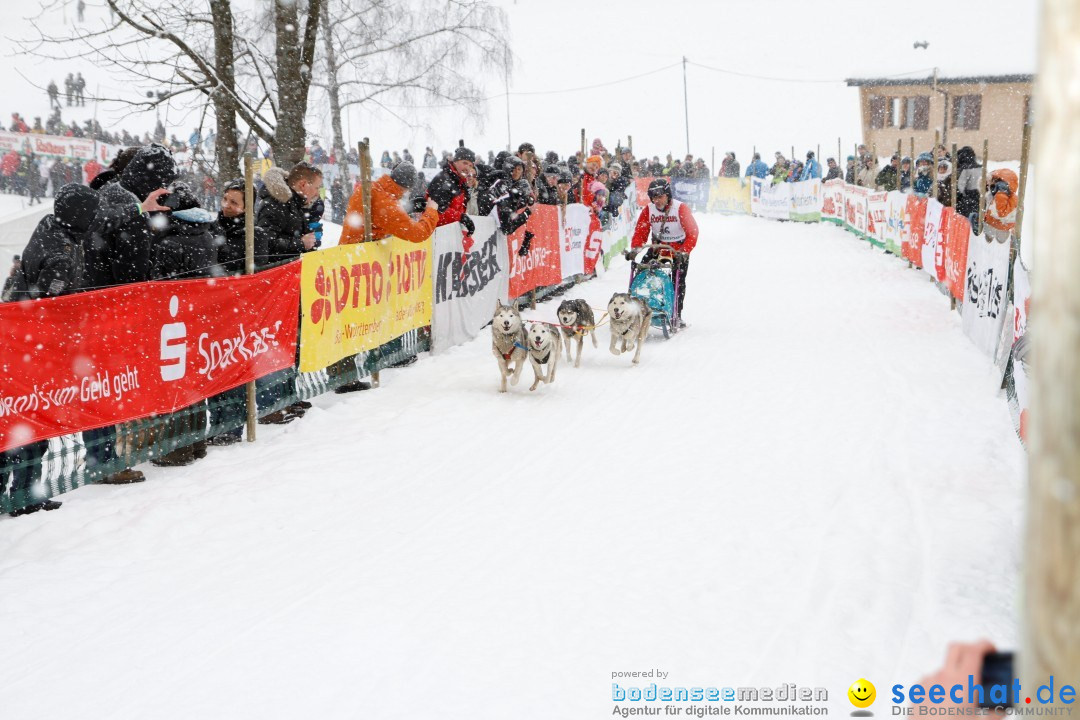 Schlittenhunderennen: Todtmoos im Schwarzwald, 24.02.2013