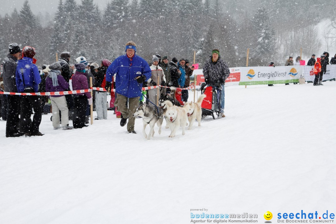 Schlittenhunderennen: Todtmoos im Schwarzwald, 24.02.2013