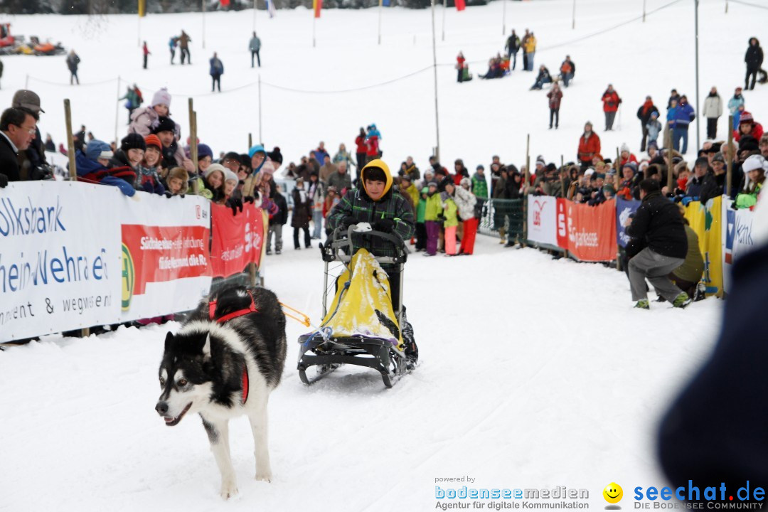 Schlittenhunderennen: Todtmoos im Schwarzwald, 24.02.2013