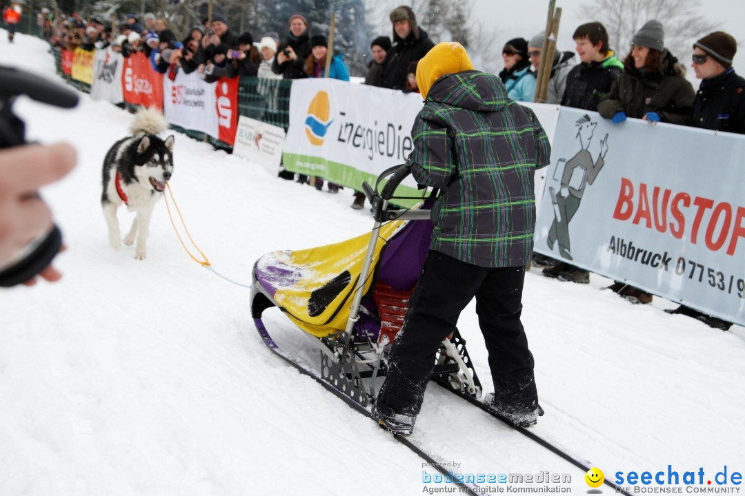 Schlittenhunderennen: Todtmoos im Schwarzwald, 24.02.2013