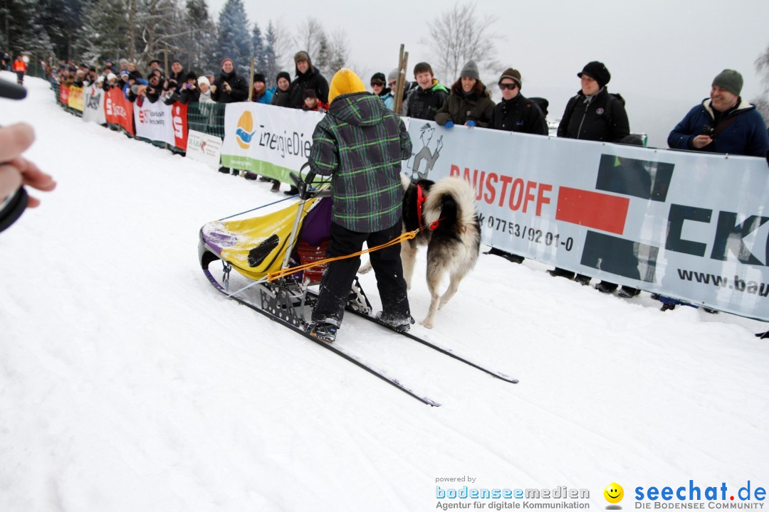 Schlittenhunderennen: Todtmoos im Schwarzwald, 24.02.2013