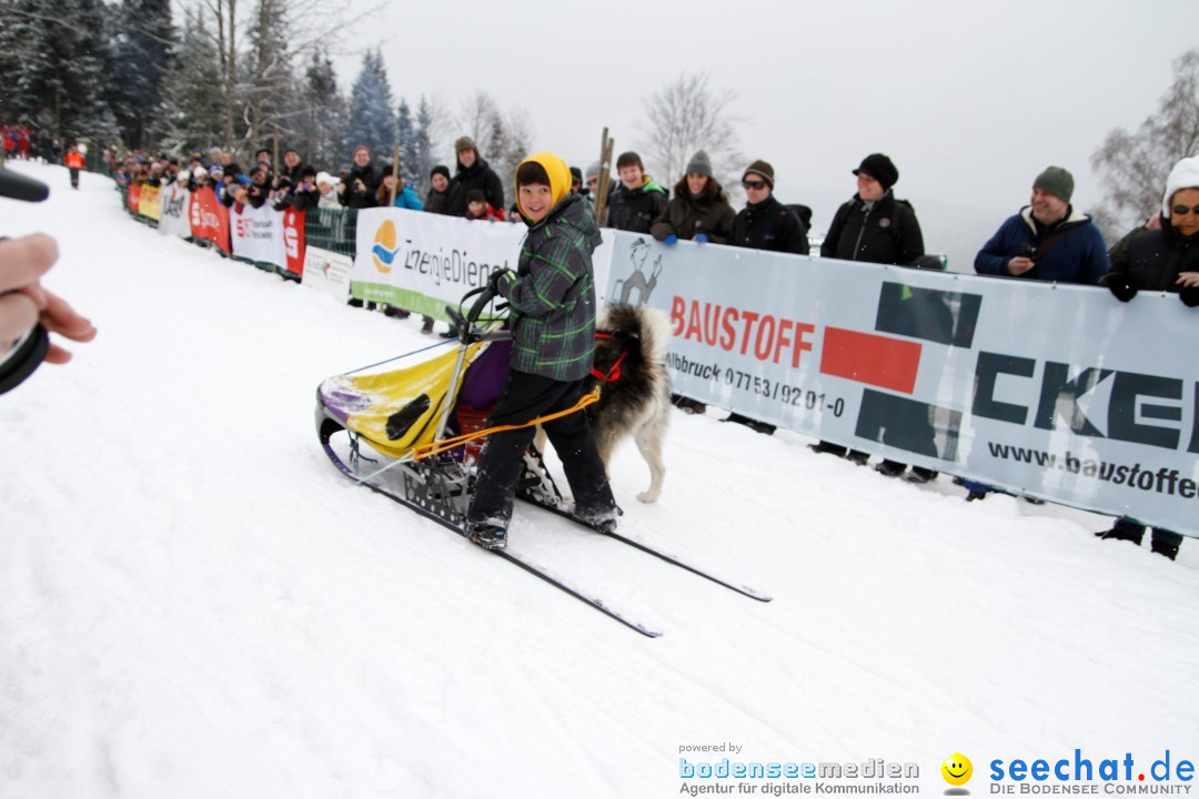 Schlittenhunderennen: Todtmoos im Schwarzwald, 24.02.2013