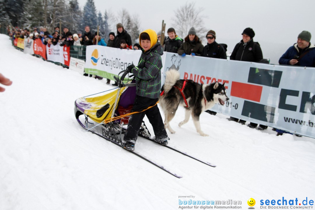 Schlittenhunderennen: Todtmoos im Schwarzwald, 24.02.2013