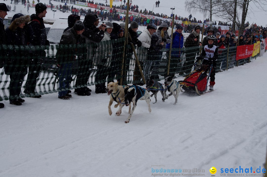 Schlittenhunderennen: Todtmoos im Schwarzwald, 24.02.2013