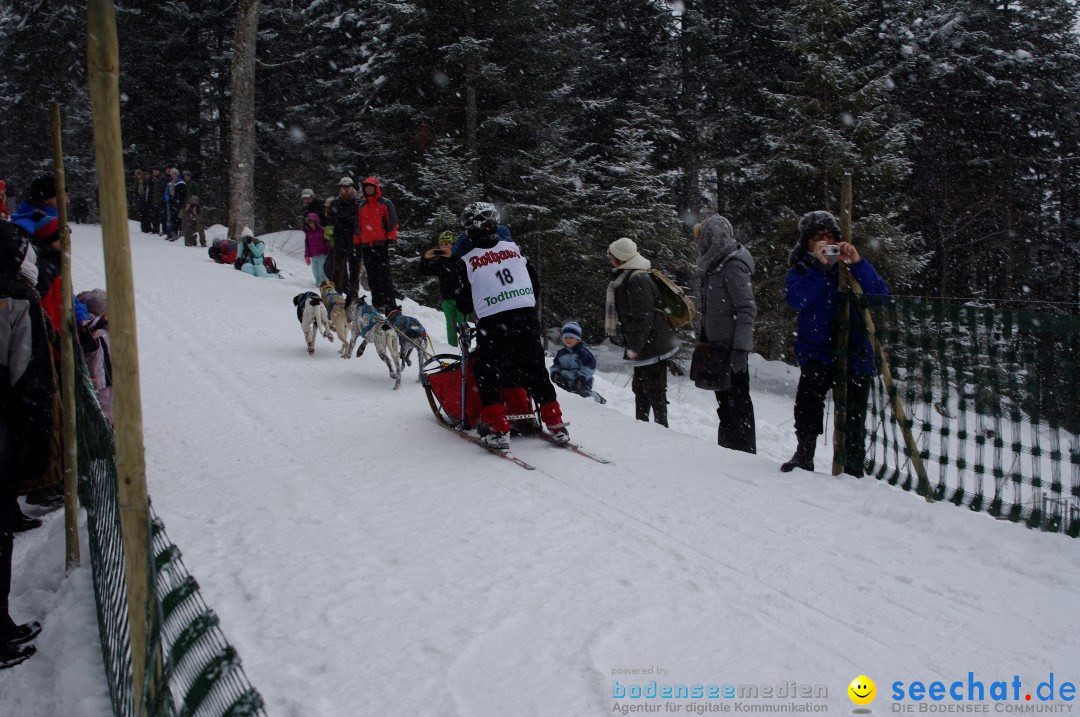 Schlittenhunderennen: Todtmoos im Schwarzwald, 24.02.2013