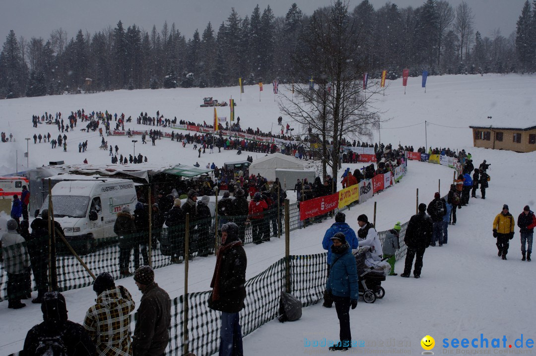 Schlittenhunderennen: Todtmoos im Schwarzwald, 24.02.2013
