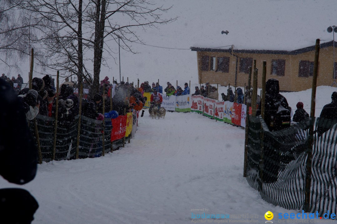 Schlittenhunderennen: Todtmoos im Schwarzwald, 24.02.2013