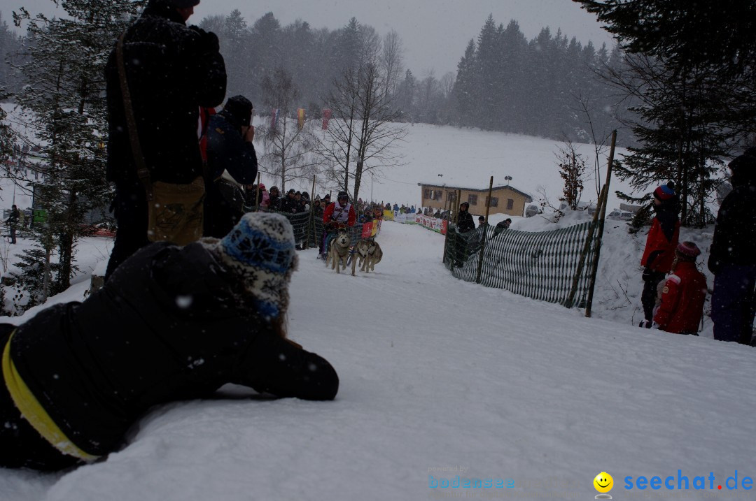 Schlittenhunderennen: Todtmoos im Schwarzwald, 24.02.2013