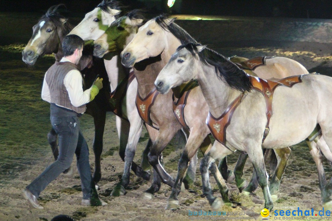 APASSIONATA-Freunde-fuer-immer-Stuttgart-110313-Bodensee-Communtiy-SEECHAT_DE-IMG_5114.JPG