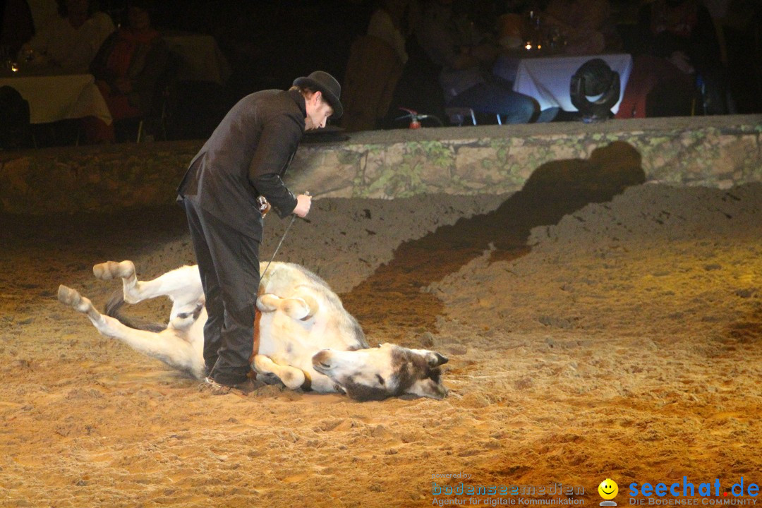 APASSIONATA-Freunde-fuer-immer-Stuttgart-110313-Bodensee-Communtiy-SEECHAT_DE-IMG_5204.JPG