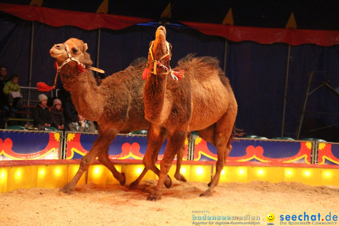 Circus Luna: Radolfzell am Bodensee, 20.05.2013