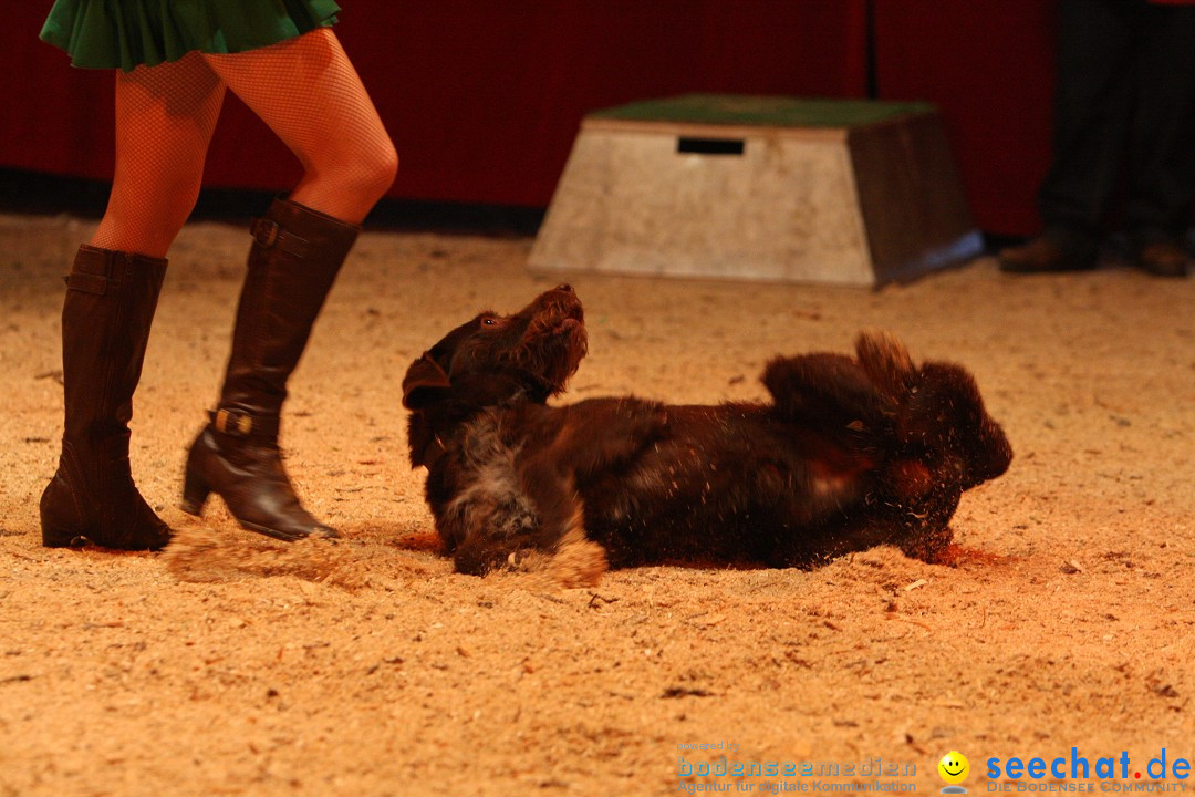 Circus Luna: Radolfzell am Bodensee, 20.05.2013