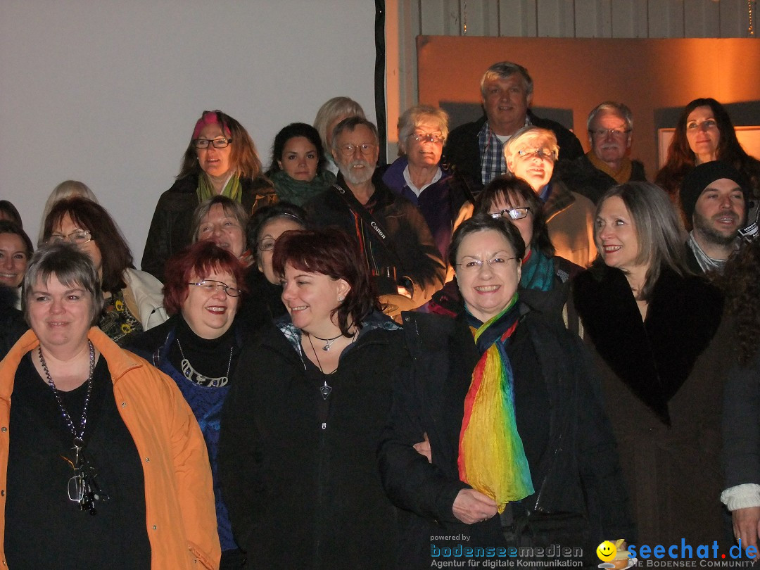 Kunstausstellung -  Artists for freedom: Ulm, 05.04.2013