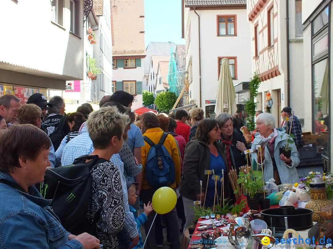 41. Flohmarkt mit verschiedenen Bands: Riedlingen, 18.05.2013