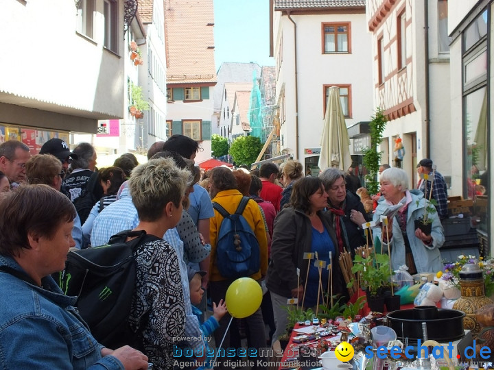 41. Flohmarkt mit verschiedenen Bands: Riedlingen, 18.05.2013