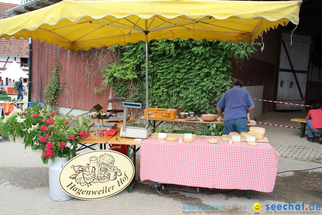 Hoffest-Rengoldshausen-Ueberlingen-2206-2013-Bodensee-Community-SEECHAT_de-IMG_8499.JPG