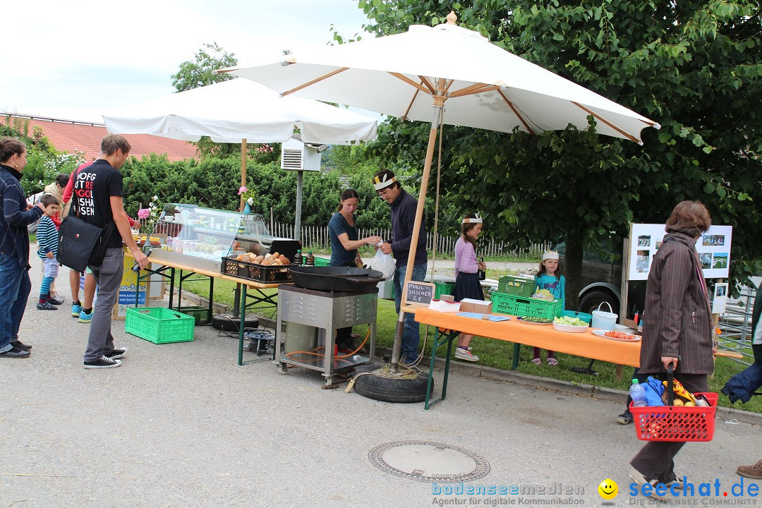 Hoffest-Rengoldshausen-Ueberlingen-2206-2013-Bodensee-Community-SEECHAT_de-IMG_8502.JPG