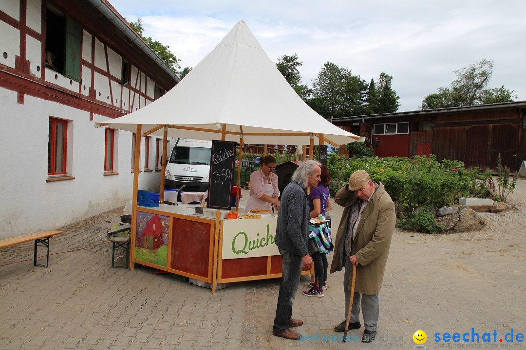 Hoffest-Rengoldshausen-Ueberlingen-2206-2013-Bodensee-Community-SEECHAT_de-IMG_8505.JPG