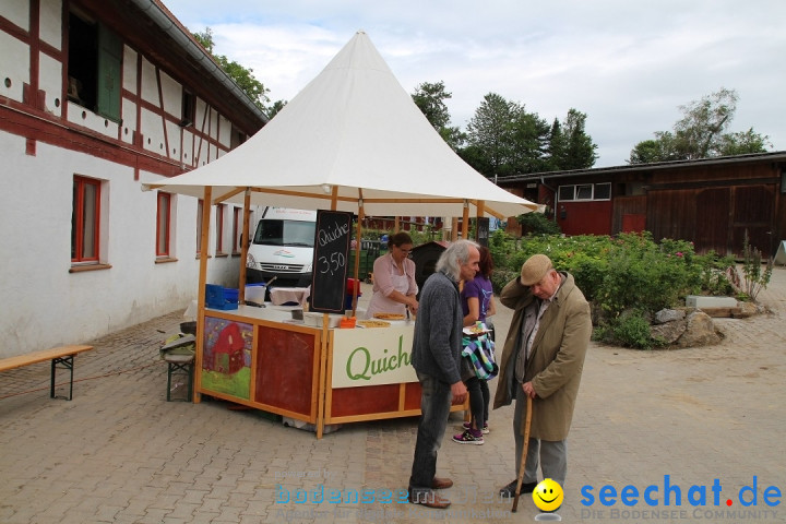Hoffest-Rengoldshausen-Ueberlingen-2206-2013-Bodensee-Community-SEECHAT_de-IMG_8505.JPG