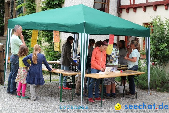 Hoffest-Rengoldshausen-Ueberlingen-2206-2013-Bodensee-Community-SEECHAT_de-IMG_8532.JPG