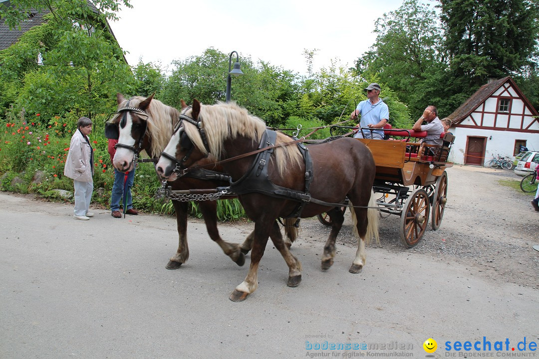 Hoffest-Rengoldshausen-Ueberlingen-2206-2013-Bodensee-Community-SEECHAT_de-IMG_8741.JPG