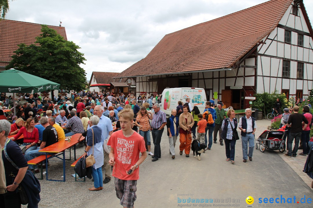 Hoffest-Rengoldshausen-Ueberlingen-2206-2013-Bodensee-Community-SEECHAT_de-IMG_8745.JPG